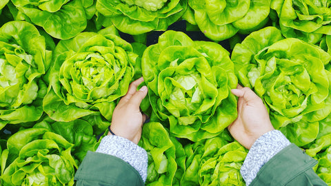 We are a small organic farm and natural soapery dedicated to eco-friendly products