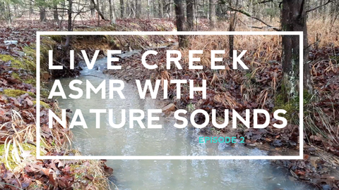 Live Creek After a Rainstorm ASMR with Nature Sounds