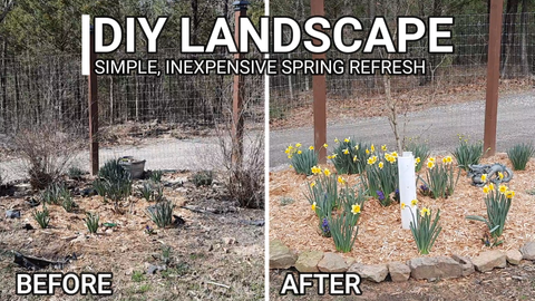 DIY Spring Landscape Refresh: Simple and Inexpensive Flower Bed Upgrade