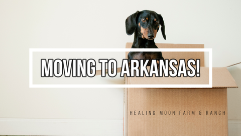 Behind the Scenes on our move to Arkansas!