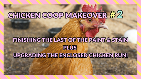 Chicken Coop Makeover Part 2