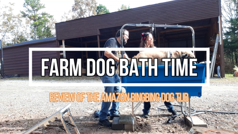 Farm Dog Bath Time