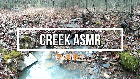 Time-lapse of one of our creeks on the Farm!