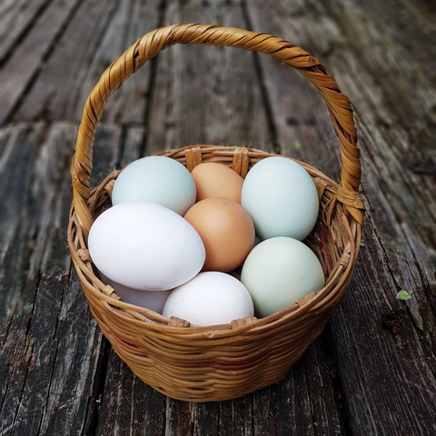 Pasture-raised Eggs